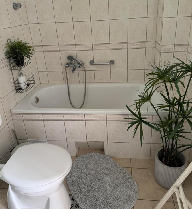 Pelini - 2 Aparthotel Szentendre Bagian luar foto