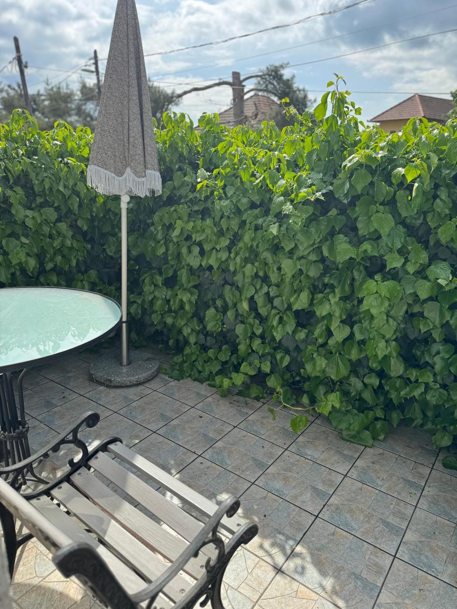 Pelini - 2 Aparthotel Szentendre Bagian luar foto